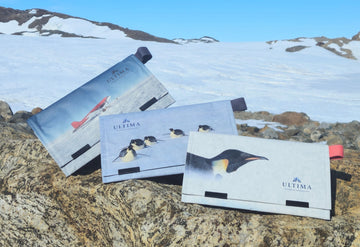 Ultima Antartica