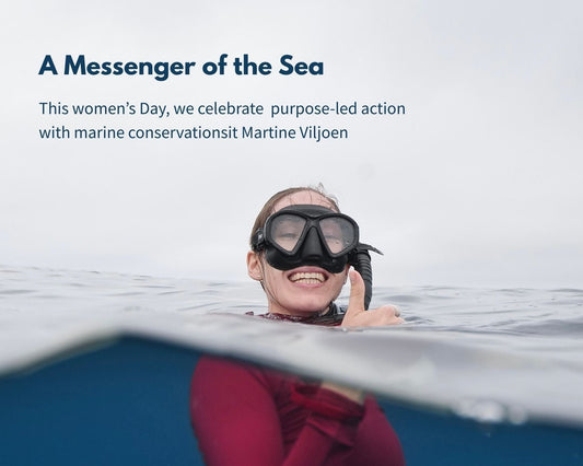 Penguins, Plastic & Purpose