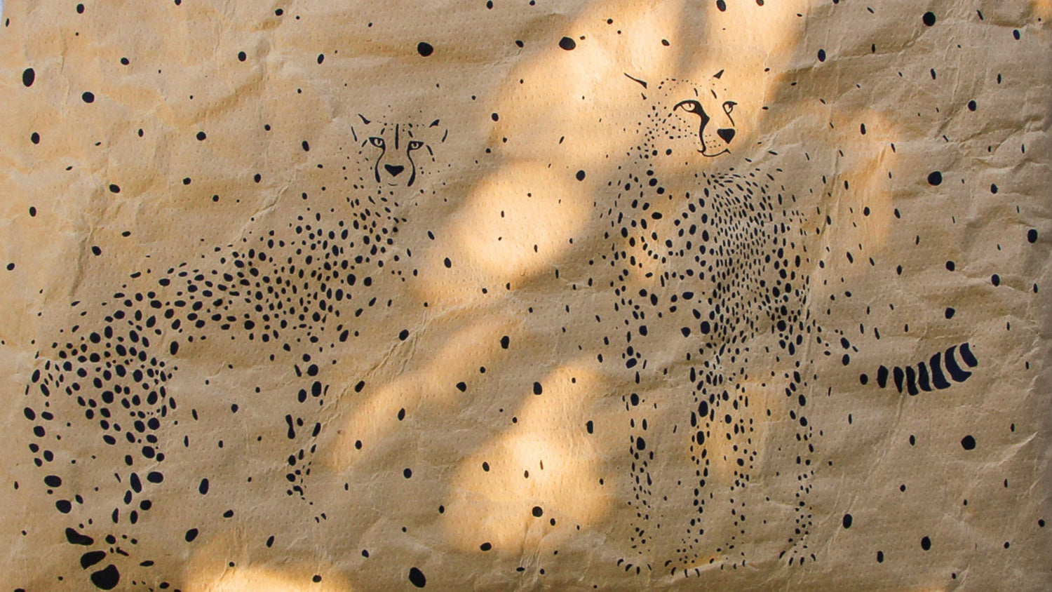 Disappearing Dots: Cheetah