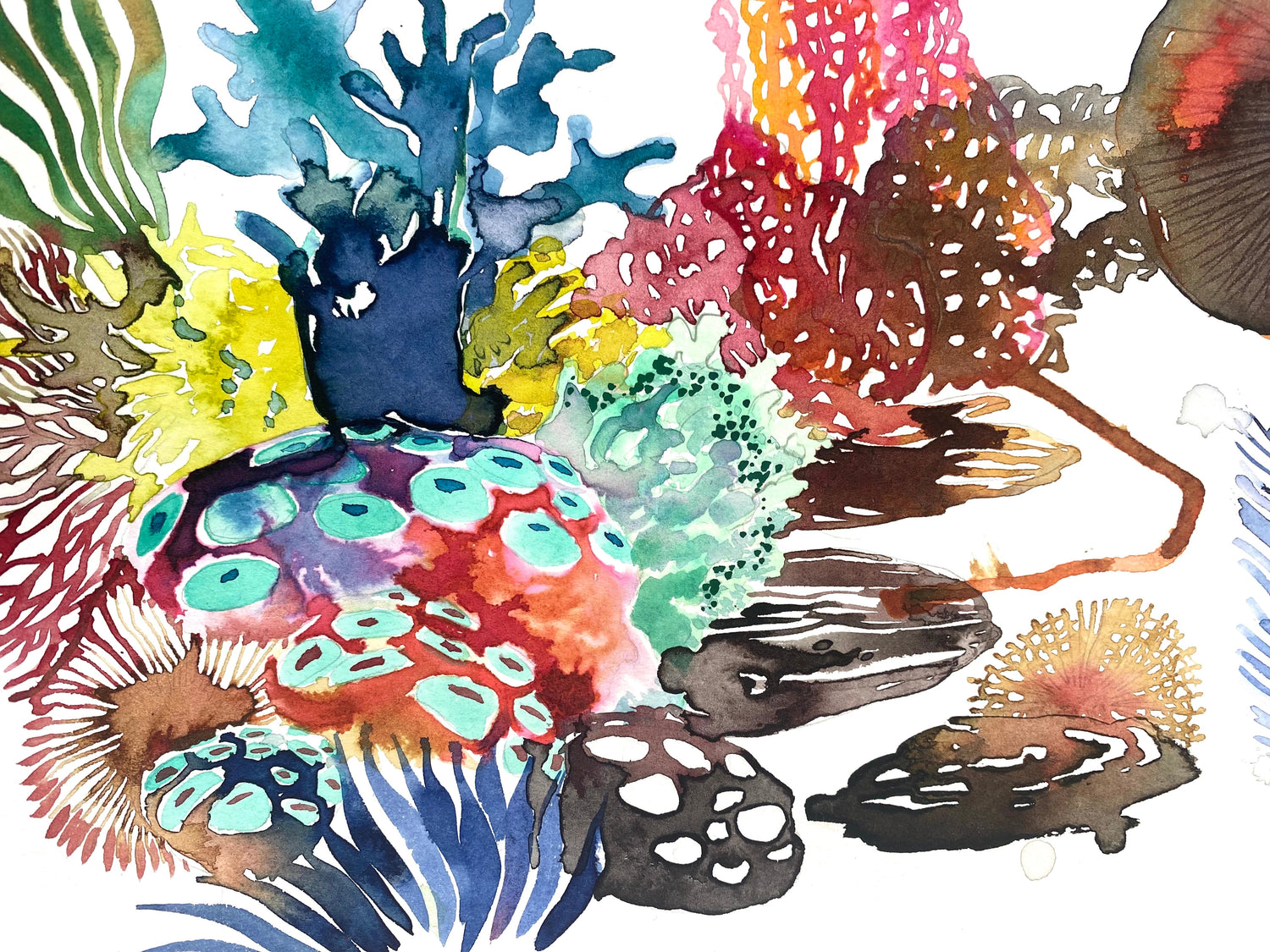 A Beautiful World: Ocean