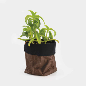 Ochre Brown ProtectPaper® Tub