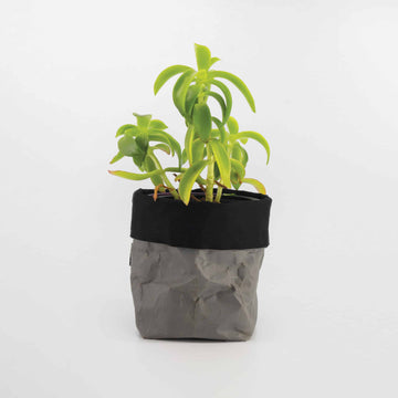 Gunmetal ProtectPaper® Tub