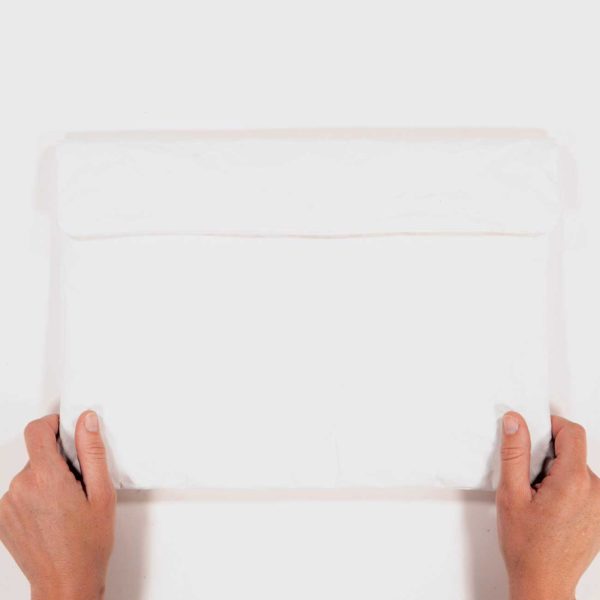 Wren PaperSleeves White held web ready
