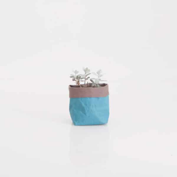 Wren Paper Tubs Teal Single Styled Lowres
